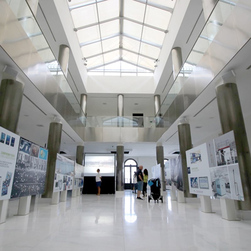 Día del medio ambiente de la APV 2017