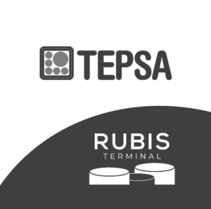 LOGO TEPSA-RUBIS grises